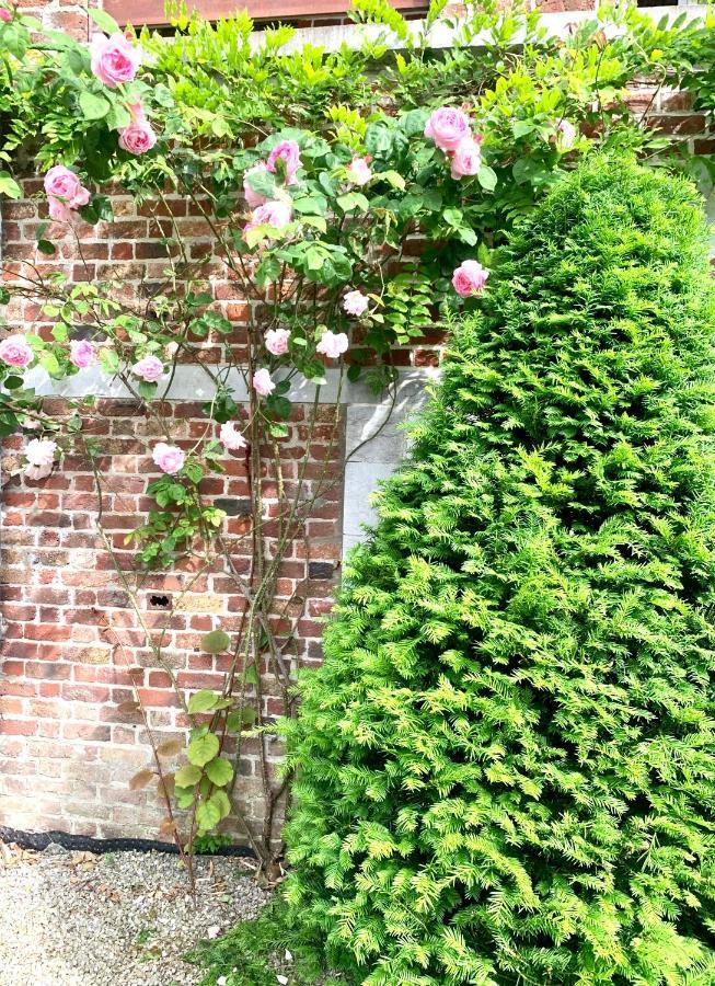 La Tour D'Heloise - 10' De Bruxelles Bed & Breakfast ลาอุลป์ ภายนอก รูปภาพ